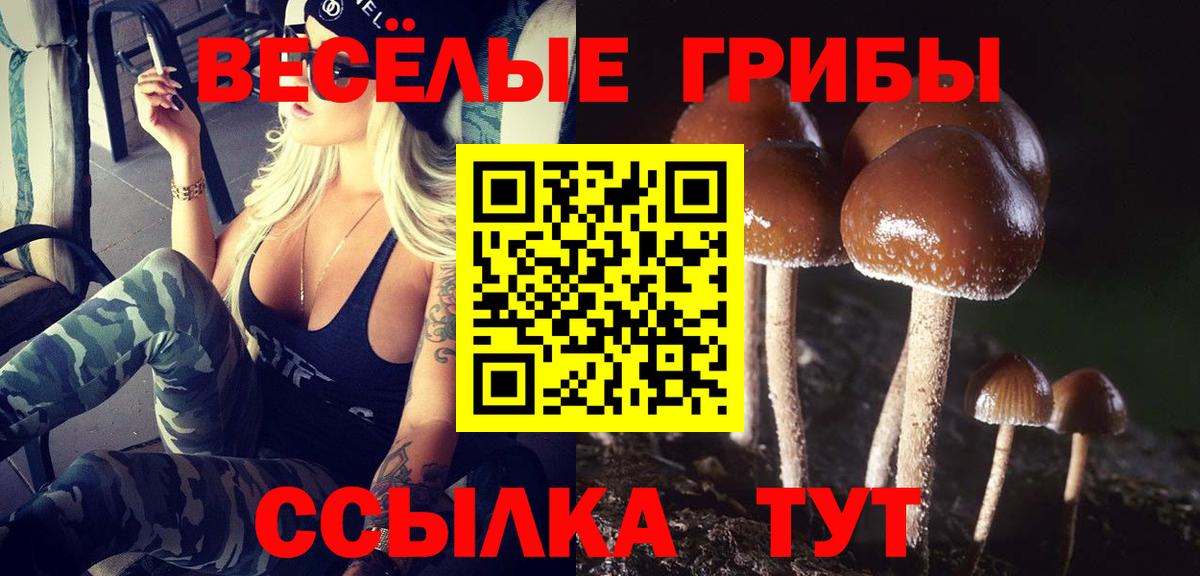 Псилоцибиновые грибы Psilocybine cubensis  Вход с VPN  Сафоново 